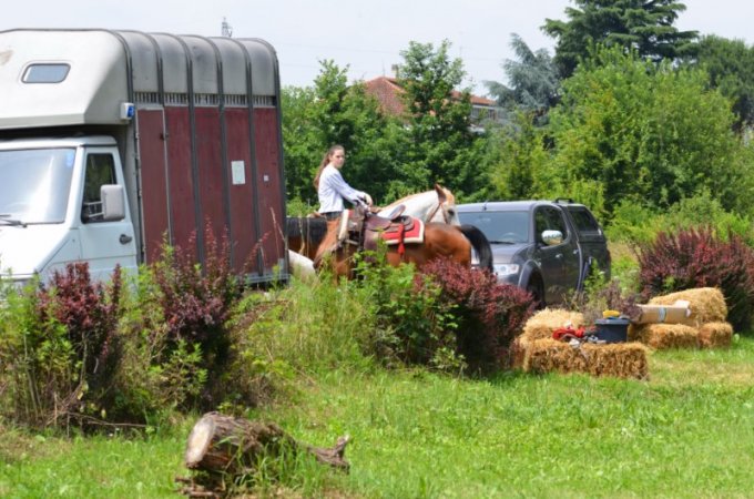 Oasi degli Amici Animali